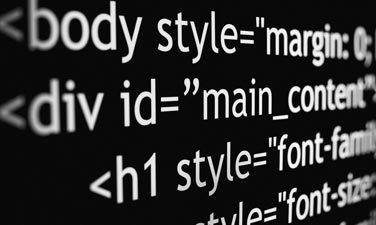 ui developer openings in bangalore for freshers